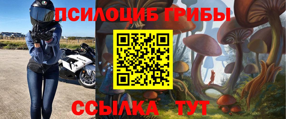 Галлюциногенные грибы Magic Shrooms Елизово