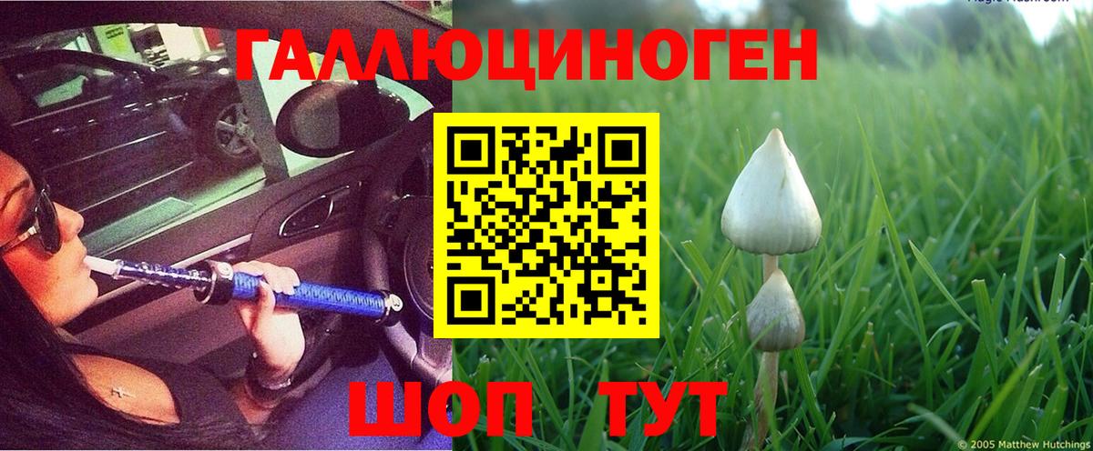 Елизово  где найти   Псилоцибиновые грибы MAGIC MUSHROOMS  Вход с VPN  Псилоцибиновые грибы MAGIC MUSHROOMS 